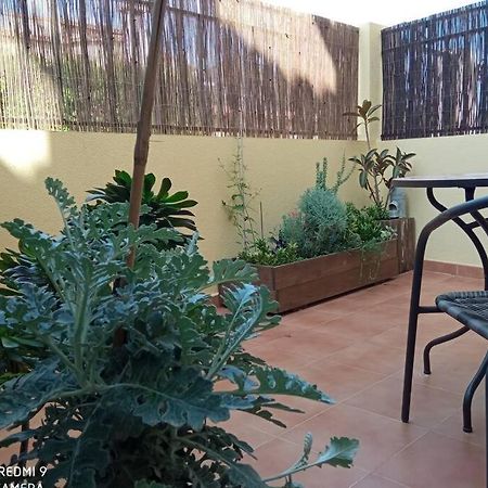 Apartament Loft Alquiler Alcalalí Zewnętrze zdjęcie